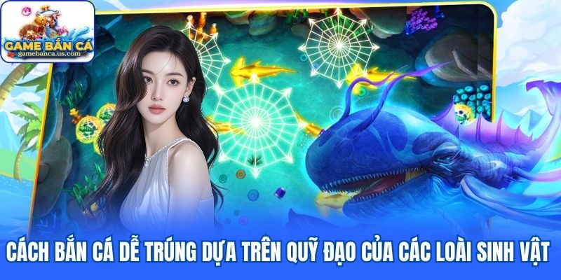 Cách bắn cá dễ trúng dựa trên quỹ đạo của các loài sinh vật 